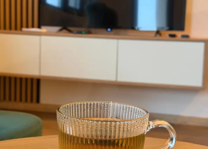 公寓 Emerald Vrnjačka Banja